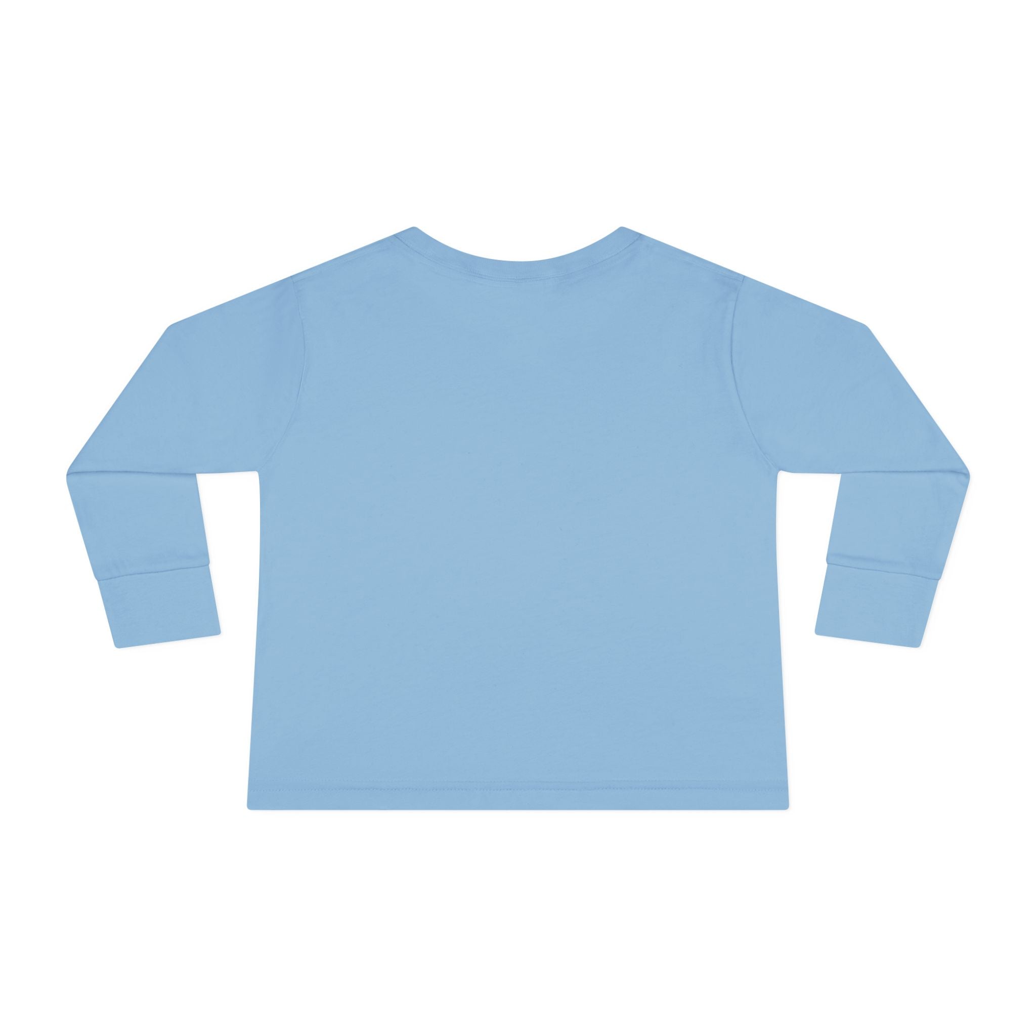 Toddler Long Sleeve Tee - Learn Today Leading Tomorrow
